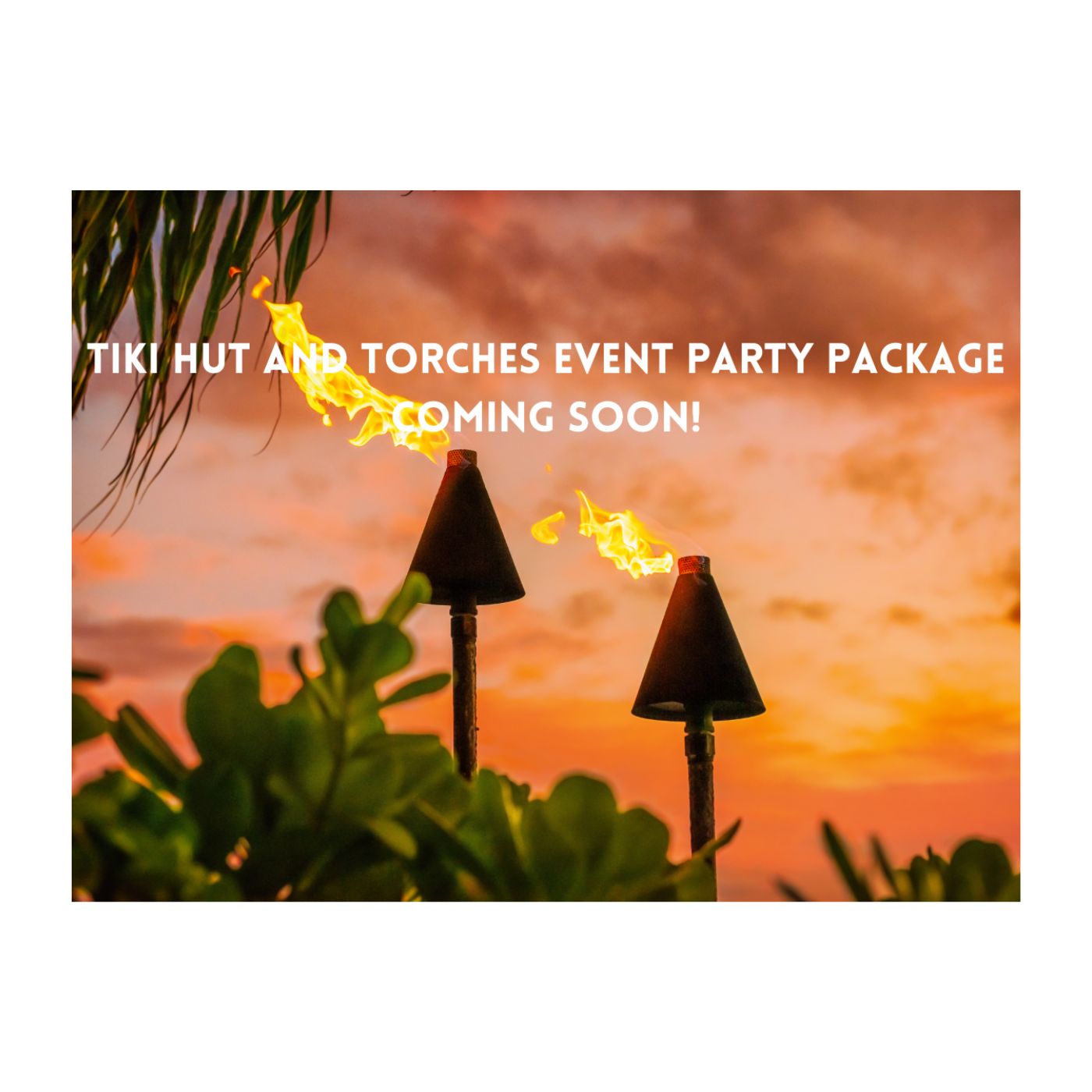 Tiki Hut and Torches Event Party Package